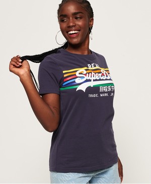 Superdry Vintage Logo Rodeo Rainbow Stripe Női Pólók Sötétkék | HDEVN1236